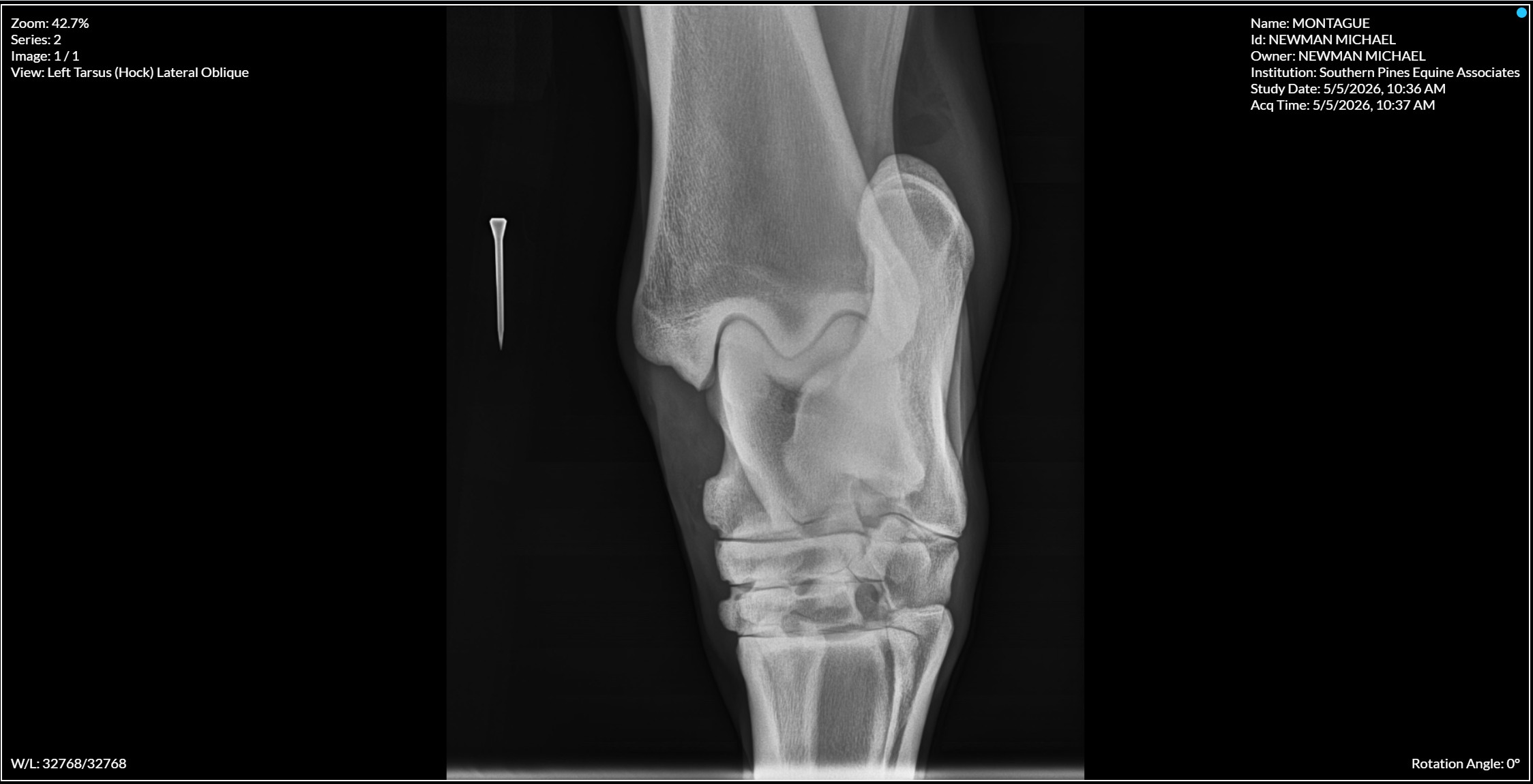 Left Tarsus Hock Lateral Oblique